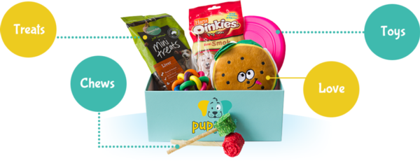 What's in the box?: Take a peek at New Zealand's newest dog toy and treat subscription box, PupPost.