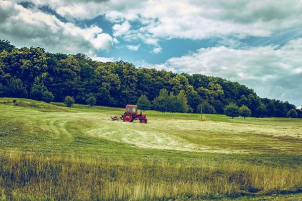 Get independent advice for your soil with Hamilton-based Soil Scientist Dr Gordon Rajendram (PhD).