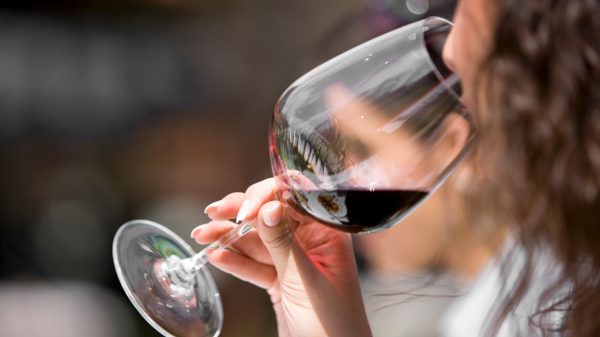 Top tips you need to know to taste wine like an expert from the award-winning winery Waitiri Creek Wines.