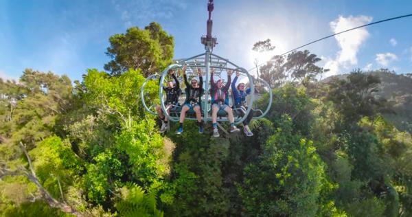 Cable Bay Adventure Park Skywire