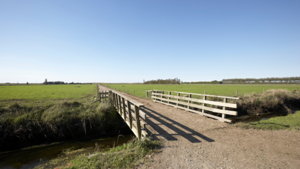 Inspecting bridges on rural properties for safe use with New Zealand's leading Rural Consultants for AgSafe New Zealand Ltd.