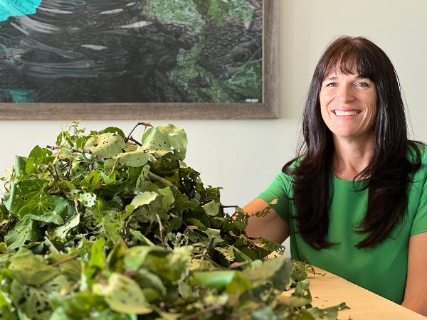 Janna Jansen, with kawakawa leaves before prociiessing