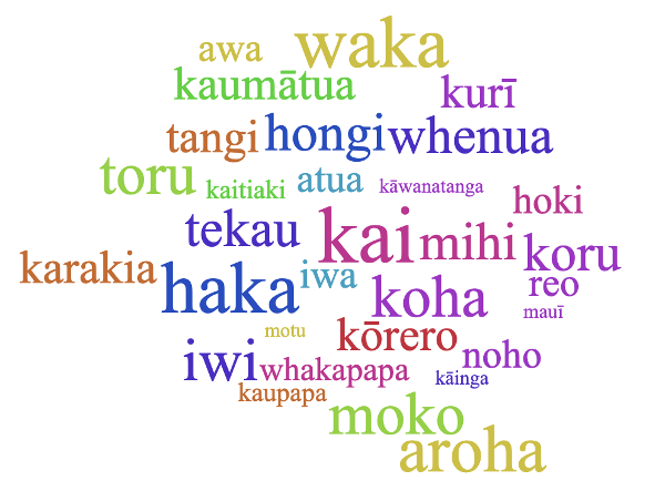 This word cloud depicts some of the words used in a recent study into how many te reo M&#257;ori words non-speakers of the language recognise and understand. (Larger type sizes indicate more people understood the meanings of these words).