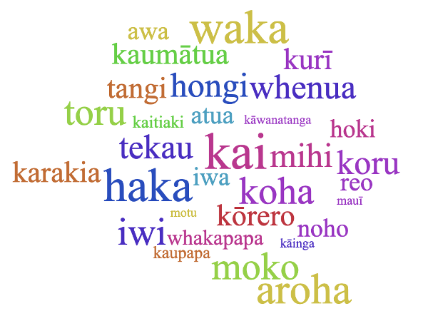 This word cloud depicts some of the words used in a recent study into how many te reo Māori words non-speakers of the language recognise and understand. (Larger type sizes indicate more people understood the meanings of these words).