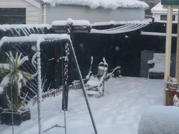 Snow, ChCh 2011