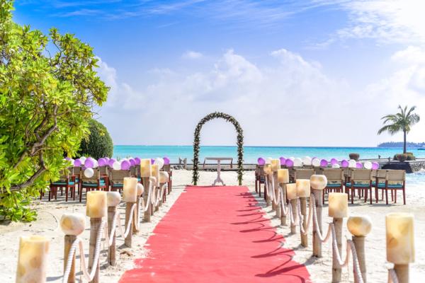 Weddings in Australia: Trends & Predictions