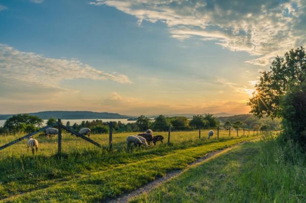 Farming is both a business and a way of life