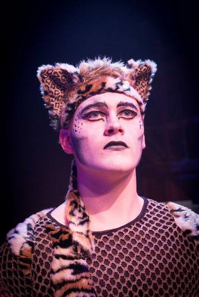 'Cats' Season Sure to Be Sell Out