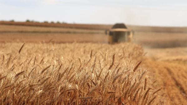 Soil testing is an investment the future prosperity of your farm or rural business says New Zealand's leading expert in soil fertility, soil scientist Dr Gordon Rajendram (PhD). 