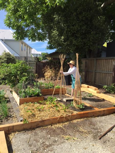 City Councillor Ali Jones Tends The Family Garden