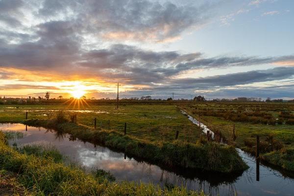 Sun rising over the recently purchased farm land on the edges of the W&#257;ihi Estuary 