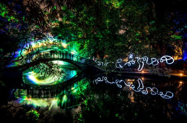 TE RAMAROA LIGHT FESTIVAL