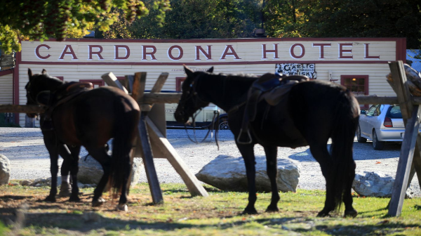 The Cardrona Horses in front of the Cardrona Hotel