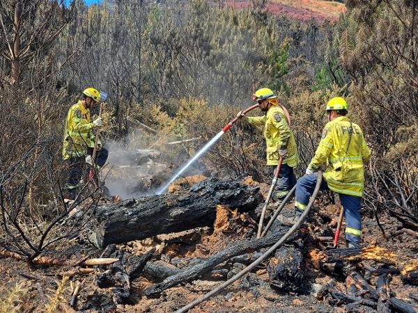 Firefighters from Peel Forest Volunteer Fire Brigade and City Care working on hotpots near Worsleys Track today.