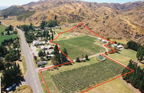 Boutique vineyard cottages wine cave for sale in North Canterbury New Zealand. Exciting new listing!