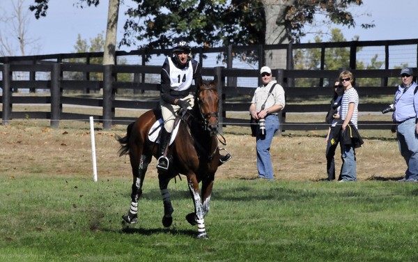 World Equestrian Games