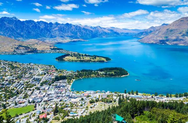 Queenstown Hospitality Wholesale Supply business for sale now!