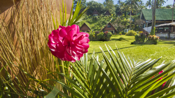 Leading Fijian Resort Crusoe's Retreat has Confirmed Its Sponsorship to the First New Zealand LGBTI Awards In Auckland