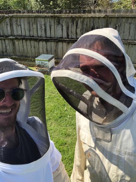 Bee swarm collecters west Auckland