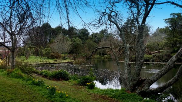 Motel and 5 acre farmlet for sale in Taranaki, NZ and opportunity to buy adjacent lifestyle block which was had a high-tea cafe and picnic spots open to the public!