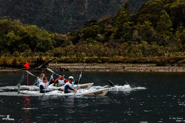 Teams kayaking through Milford Sound with dolphins on Day one of GODZone 2012