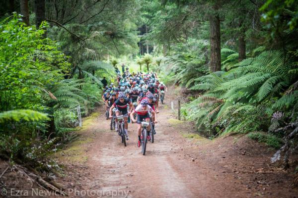 Arapuke mtb park 2025