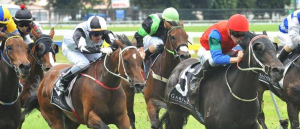 Atsala Apartments Rotorua is the ideal accommodation for the Mid-Winter Christmas Raceday at Arawa Park Racecourse, Rotorua.