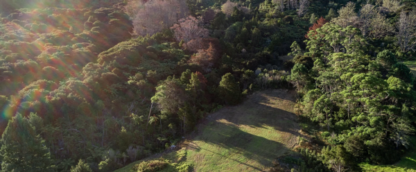 Dashper Drive features expansive sections nestled among native bush