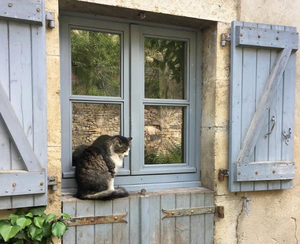 Window-shutters-nz