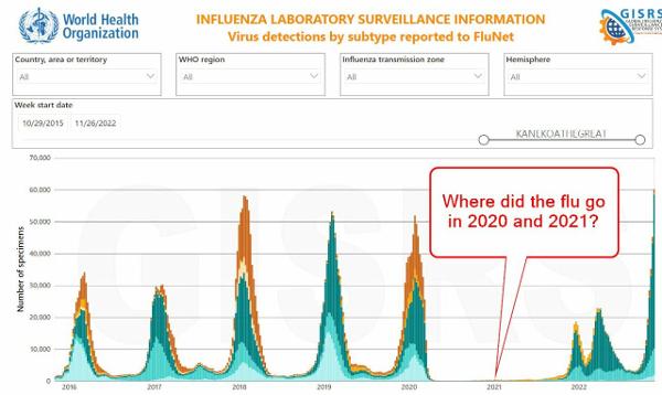 Where did the flu go?