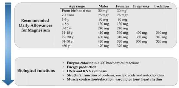 Magnesium Requirements