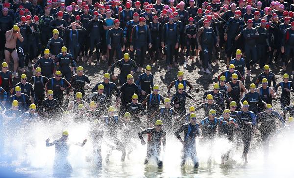 Swimmers starting the 2012 Bay of Islands race.