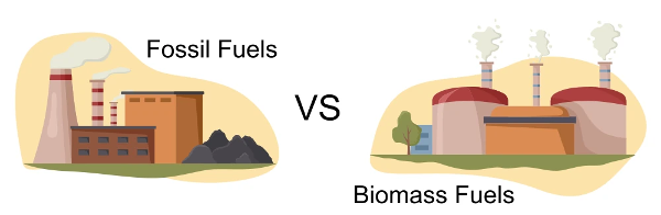 New Zealand moves toward a low-emissions future