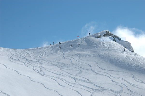 Snowboarders reveling in the powder at The Remarkables today.