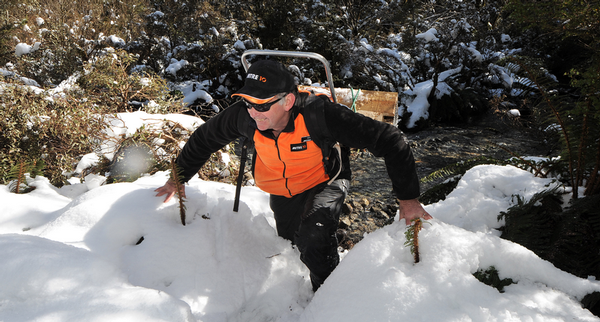 Neil Hodges, Mitre 10 Store owner taking a stoat trap into the Murchison Mountains.