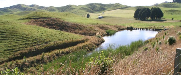 Making a splash for World Wetlands Day   