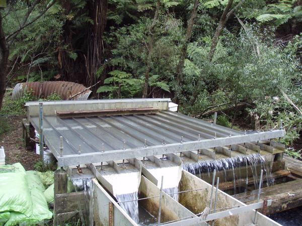 NIWA gives aquatic insects an obstacle course