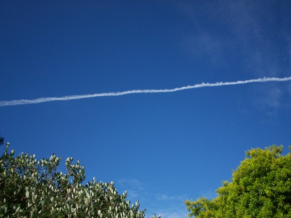 Photo of chemtrail taken about 4-5 Minutes after the plane flew over