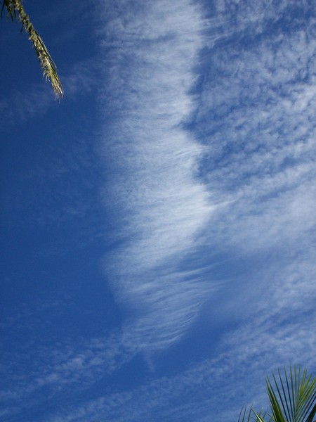The same chemtrail about 15 mins after the plane had flown over