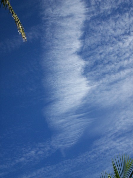 The same chemtrail about 15 mins after the plane had flown over