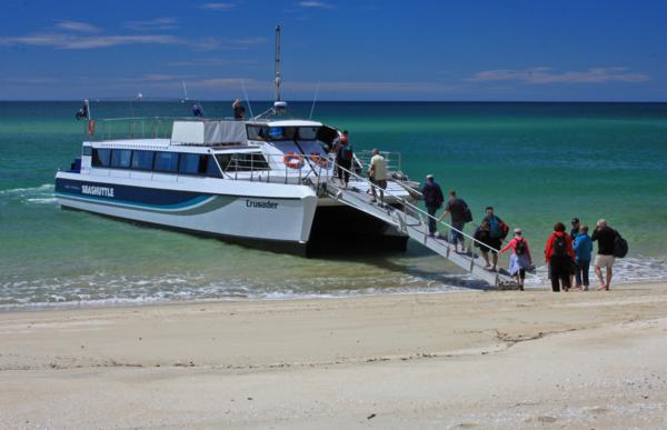 Base Yourself at Chelsea Park Motor Lodge to See Abel Tasman National Park