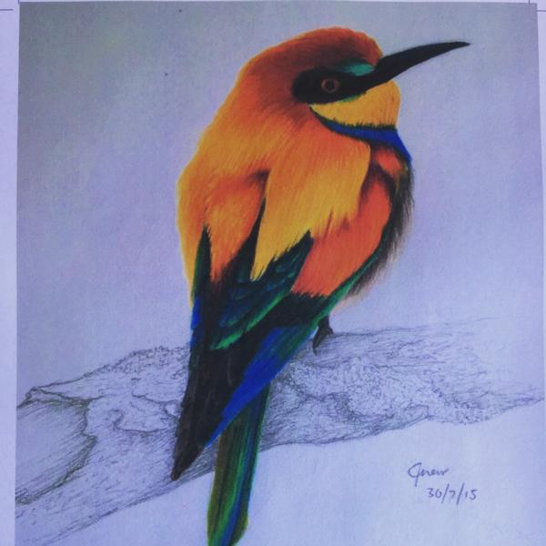 Bird by Charlotte Corkery Yr 11 in Oil and Pencil