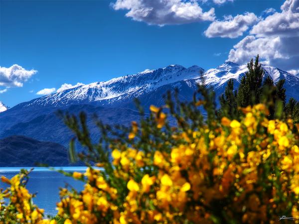 Somewhere north of Wanaka 