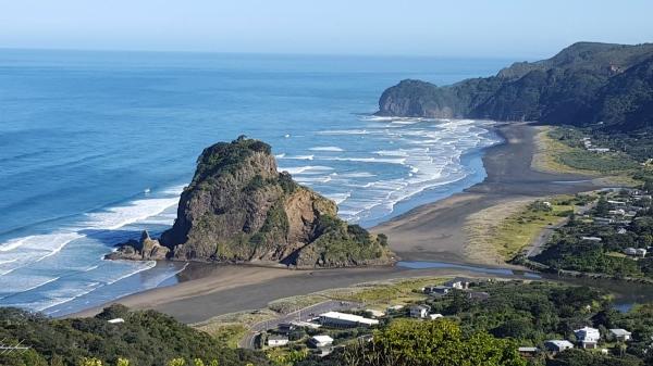 web design west auckland