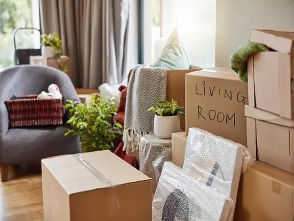 Movers and Packers