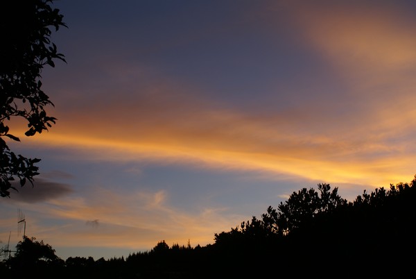 Some of A Myriad of Chemtrails Seen Over Whangarei In April