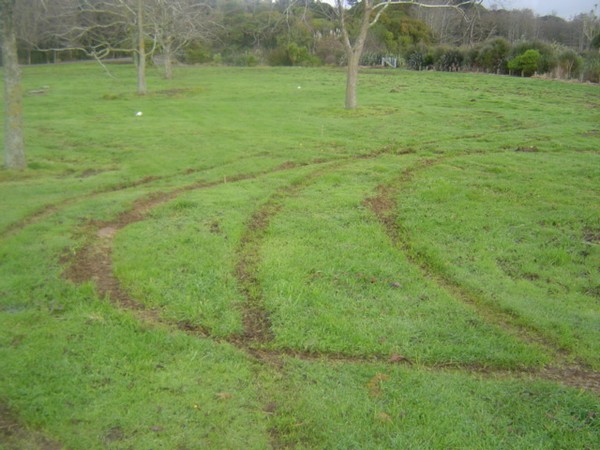 Some of the recurring vandalism at the Elbow Reserve