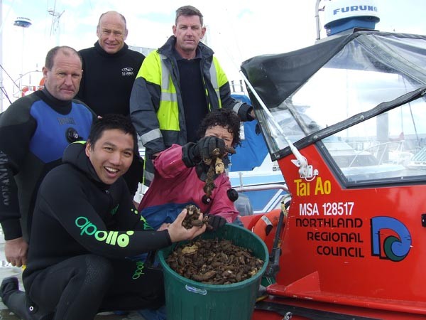 Pictured with some of the 10,000-plus sea squirts removed recently from the Marsden Cove Marina are, back row from left, Northland Underwater Technical Services divers Murray Smith and Matt Conmee and Regional Council Marine Officer Craig Gardner. Also pi