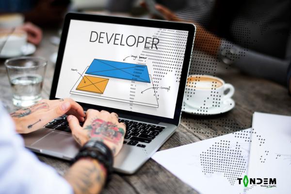 Web Development Christchurch