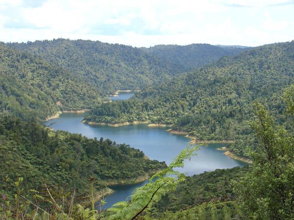 Hunua ranges 